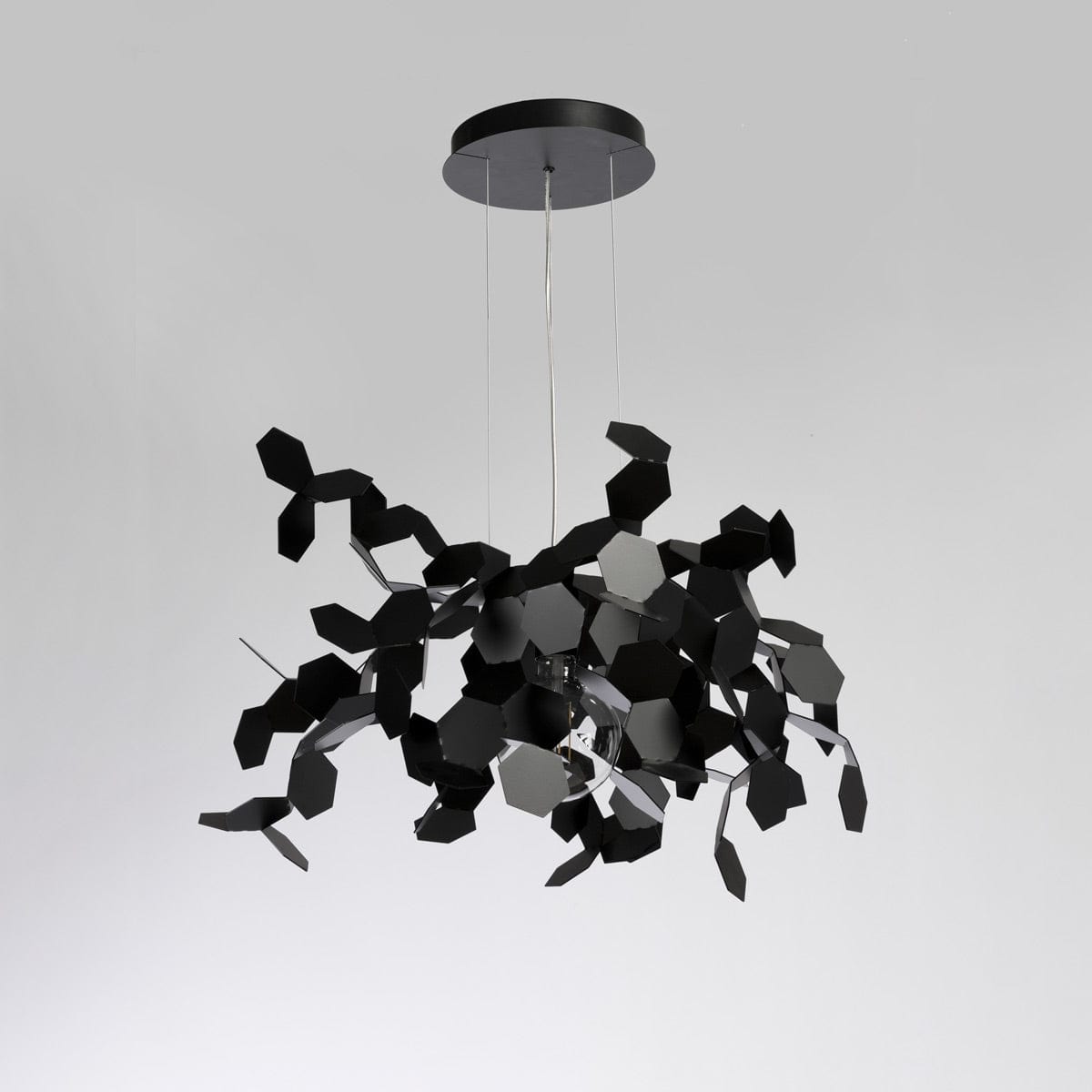 ANDROMEDA - MADE IN ITALY