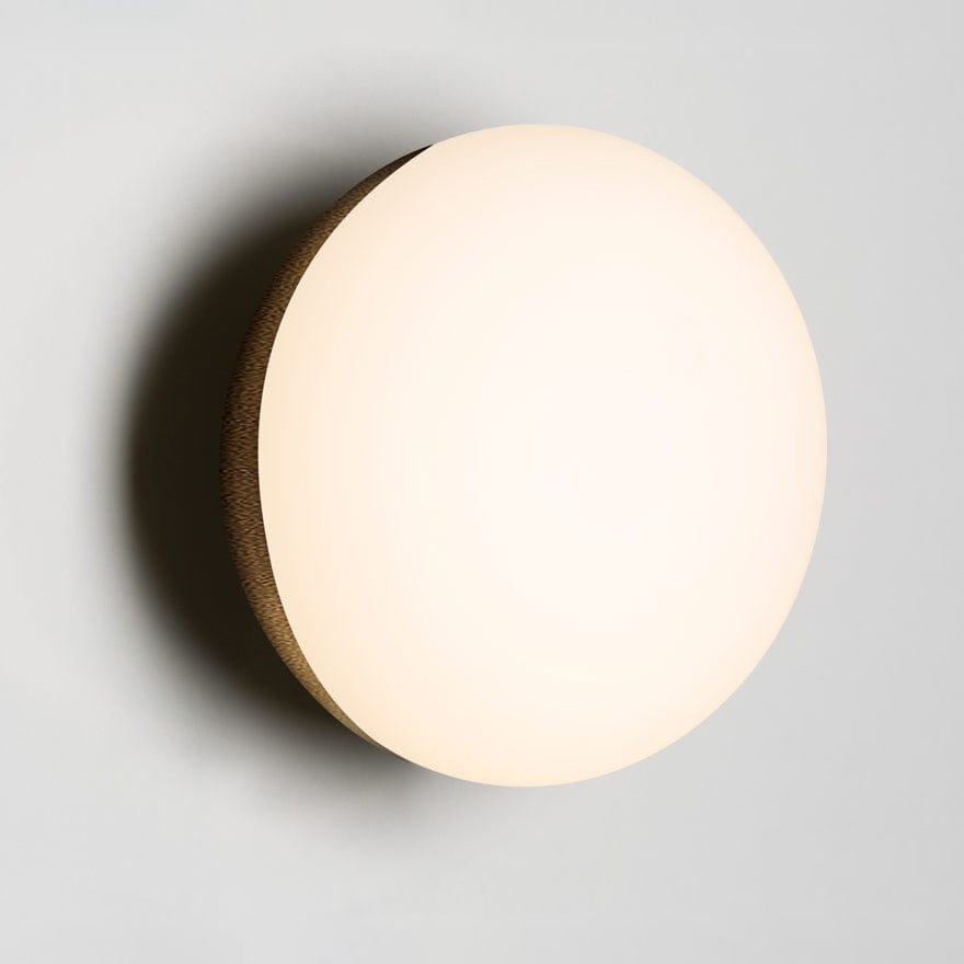 FORTE 12V LED WALL LIGHT