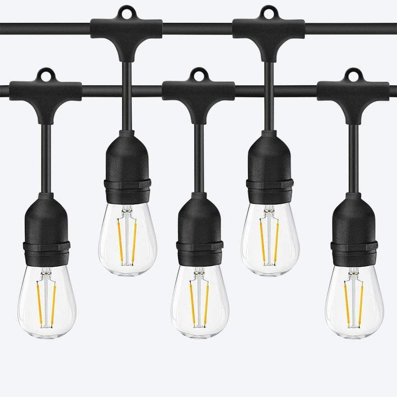 FESTOON 15