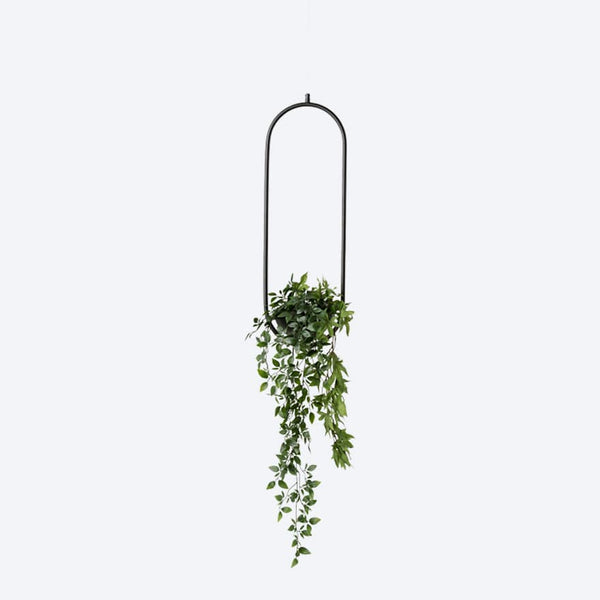 Evora 1 Black Planter Frame | Shop Now | About Space Lighting