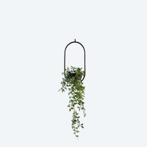 Evora 1 Black Planter Frame | Shop Now | About Space Lighting
