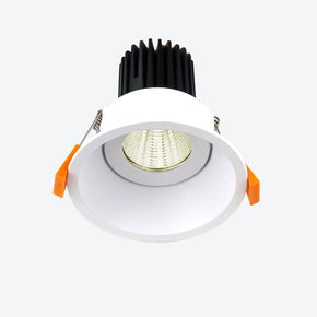 About Space RA2 LED Downlight