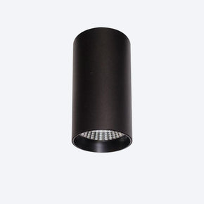 About Space Lighting Cannon C LED Ceiling Light 